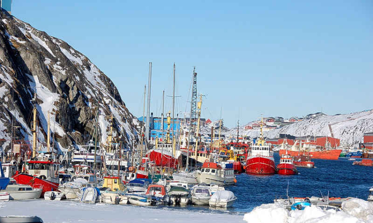 Trump administration eyes stake in company  developing rare earths mine in Greenland
