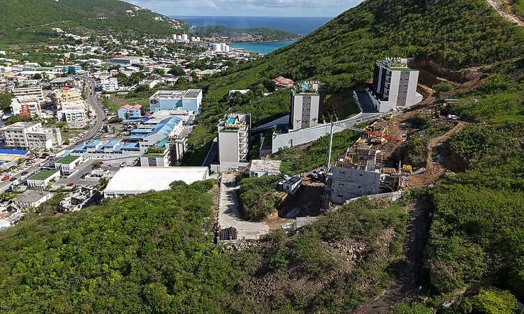 Weak laws, rapid development, climate stress:  St. Maarten’s trees are increasingly vulnerable