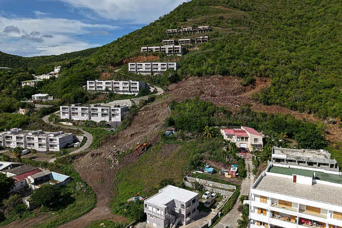 Weak laws, rapid development, climate stress: St. Maarten’s trees are increasingly vulnerable