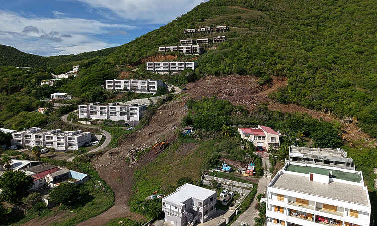 Weak laws, rapid development, climate stress:  St. Maarten’s trees are increasingly vulnerable