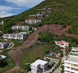 Weak laws, rapid development, climate stress:  St. Maarten’s trees are increasingly vulnerable