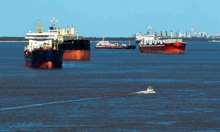 US considering curbs on exports to China made with US software, sources say