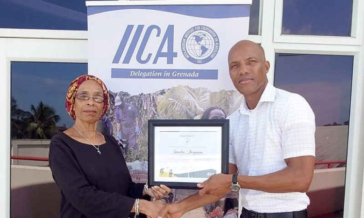    Sandra Ferguson honoured as IICA  Leader of Rurality of the Americas