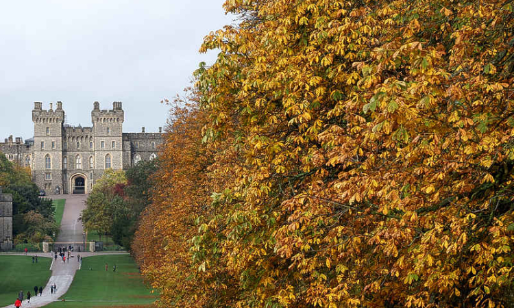 MPs question Prince Andrew's  use of Windsor Estate mansion