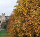 MPs question Prince Andrew's  use of Windsor Estate mansion