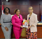 Ombudsman reports drop in complaints,  urges better government responsiveness