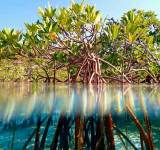 Winners announced for Seas & Scenes:  Love the Caribbean photo contest 2025