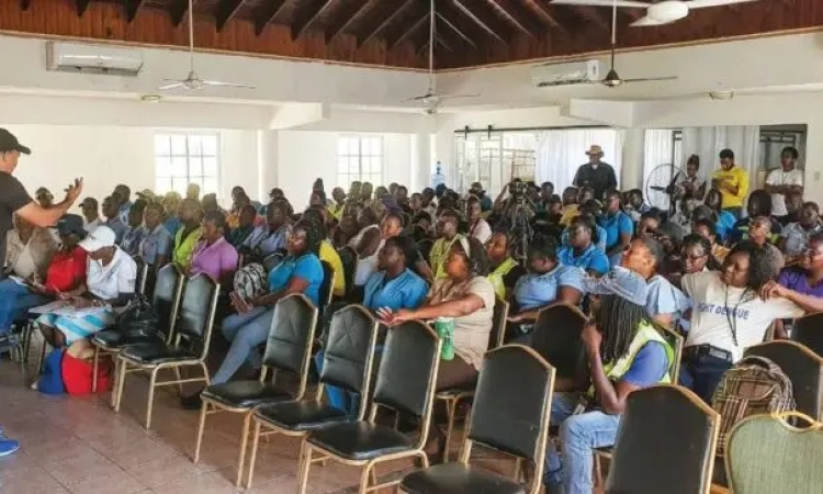Minister Tufton says environmental  diseases biggest post-Melissa threat