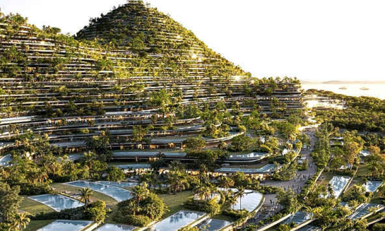 Destiny project puts Olivier Janssens  and the island Nevis at a crossroads