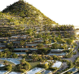 Destiny project puts Olivier Janssens  and the island Nevis at a crossroads