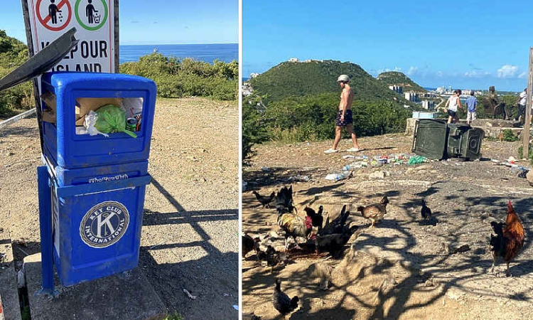 Animal Defenders St. Maarten urge  public to keep flagpole area clean