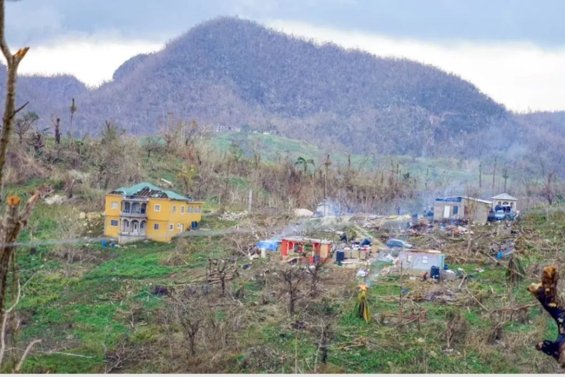    Damage to Jamaica’s forests by Melissa  up to 100 per cent in some areas – Samuda