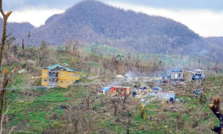    Damage to Jamaica’s forests by Melissa  up to 100 per cent in some areas – Samuda