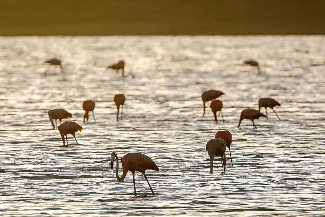 A New Year Full of Wonder