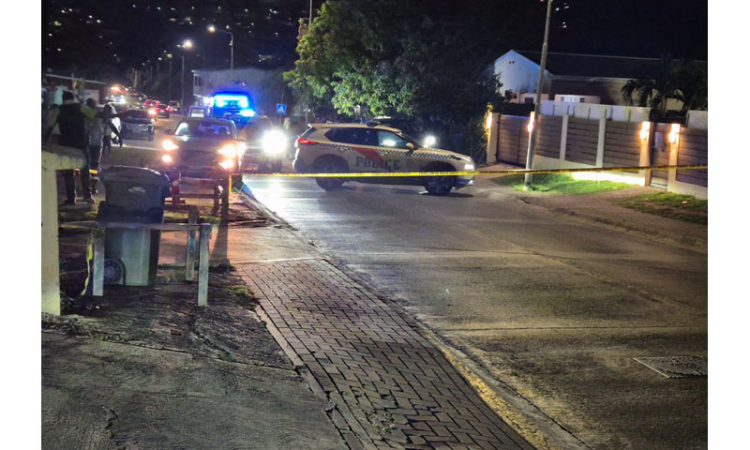 Man shot by police in St. Peters dies;  Landsrecherche takes over investigation
