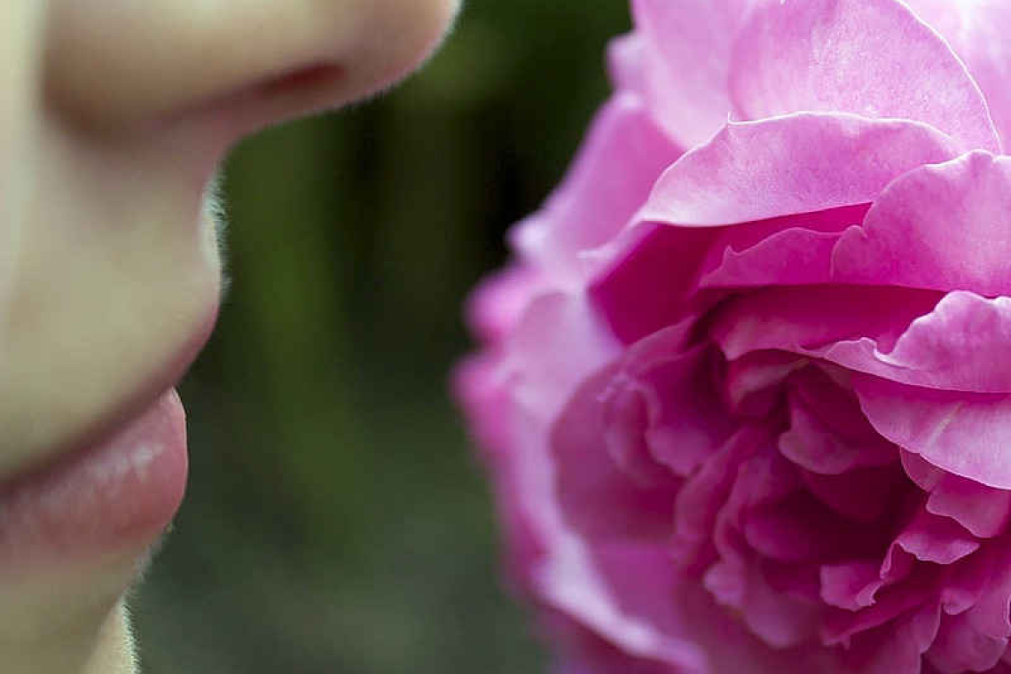 Our personal, subconscious world