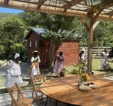 Colombier’s Spring Garden Experience  Blends , History, Culture, and Cuisine