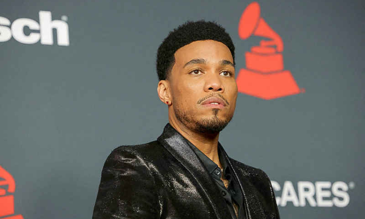 Anderson .Paak mixes culture and  comedy in root-reconnecting film