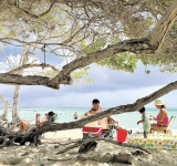 Aruba launches major review  of beach policy after ten years