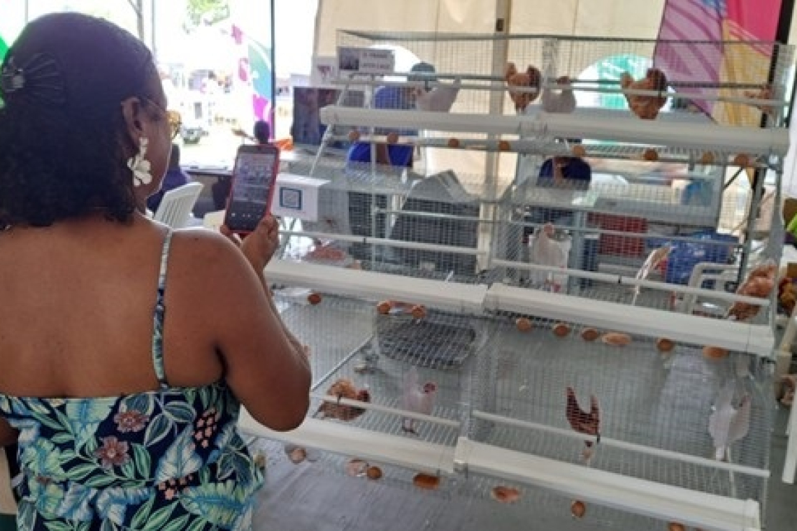       Poultry system at  Agrofes Barbados