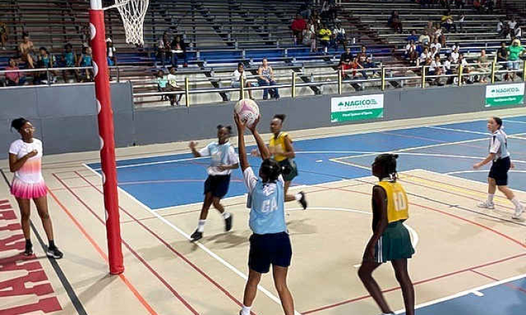 St. Dominic primary wins  netball match 15-2
