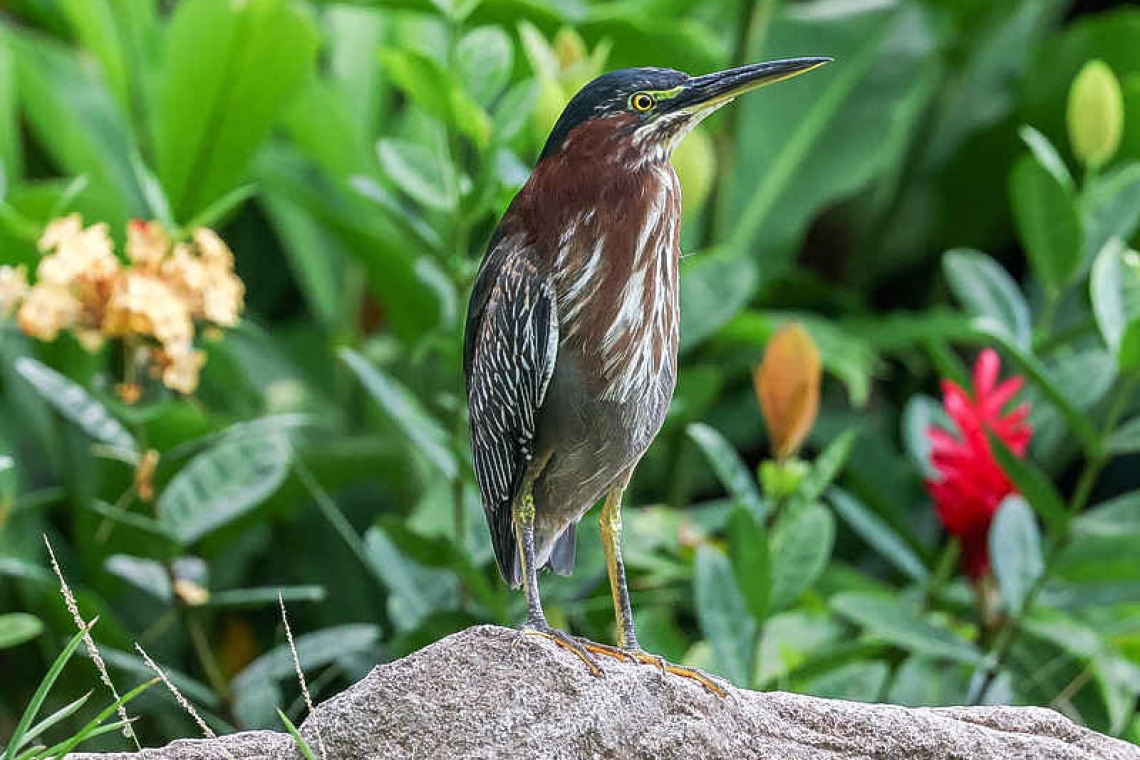 Nature’s beauty must be preserved for the generations that come after us