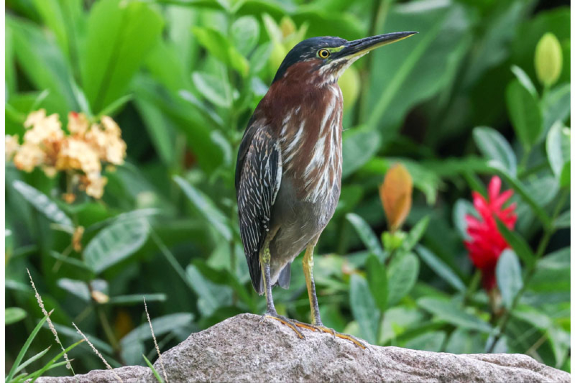 Nature’s beauty must be preserved for the generations that come after us