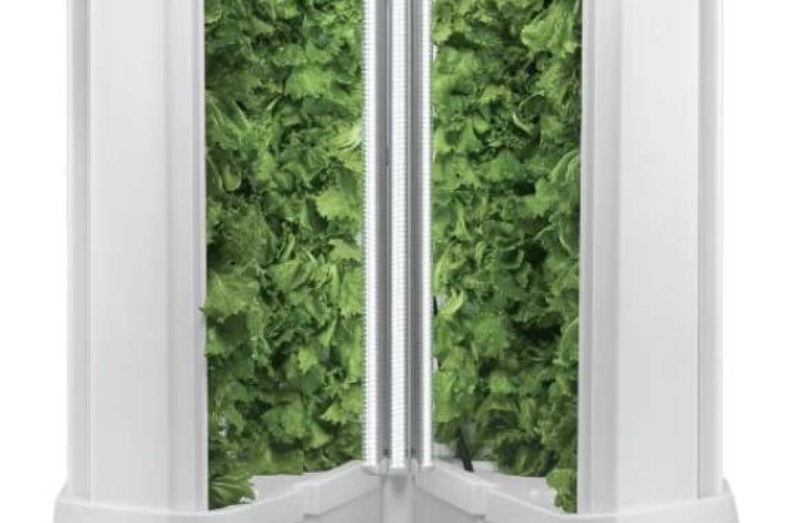 Novel agricultural project  for youth in Grenada