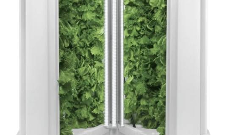 Novel agricultural project  for youth in Grenada