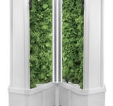 Novel agricultural project  for youth in Grenada