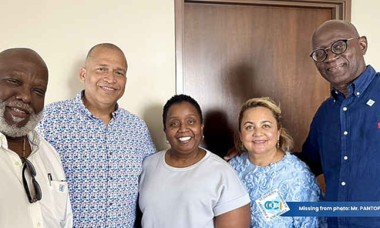 Mingo, Franca, Matser, Pantophlet,  James COCI’s first advisory board