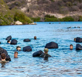 Dutch troops complete  first phase of training