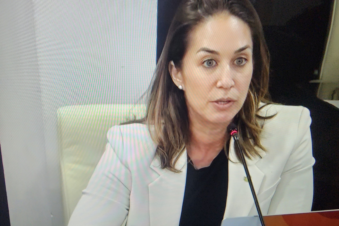   Justice Minister Tackling outlines multi-front youth prevention, rehabilitation, enforcement programmes