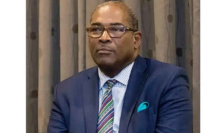       2020 elections fraud trial: Tensions rise in court  as Nigel Hughes suggests witness is “racial”