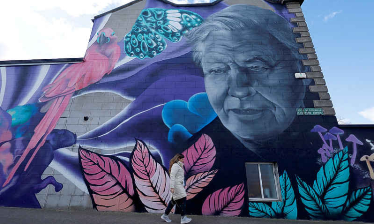 David Attenborough, 'the voice for nature,' turns 100