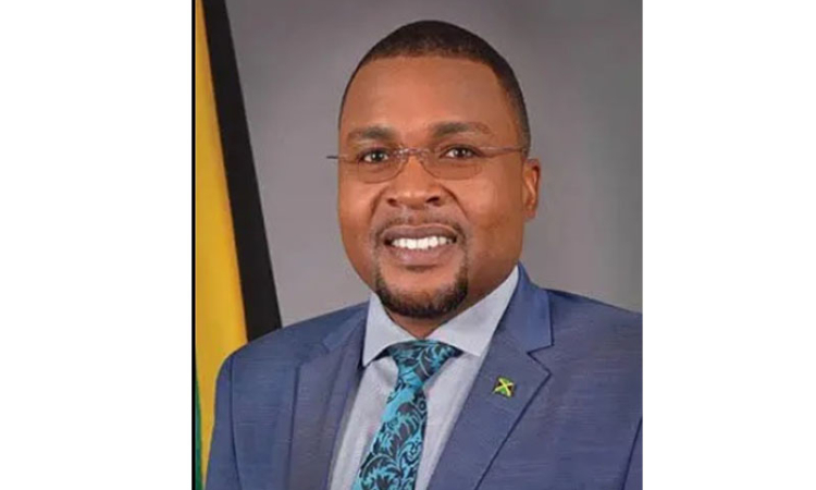       Jamaica allocates roughly $250m  for pre-hurricane mitigation works