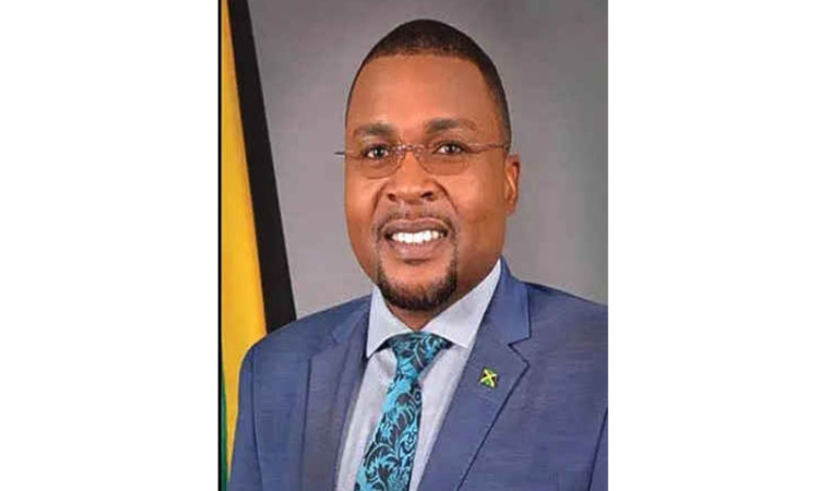       Jamaica allocates roughly $250m  for pre-hurricane mitigation works