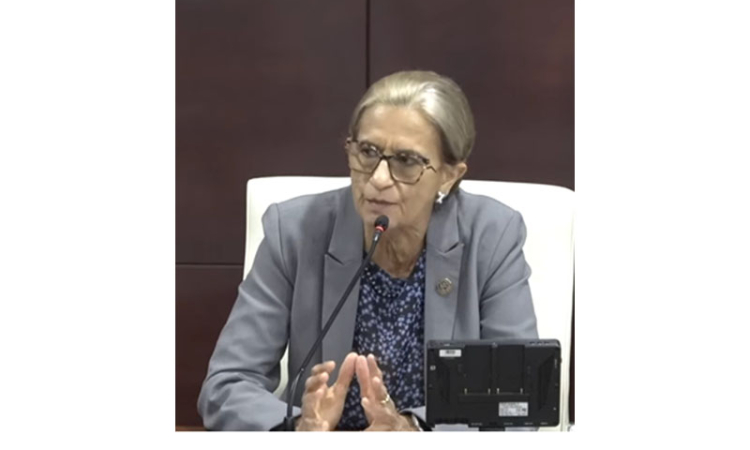Sarah tells Brug motion against him  is political, not about performance