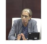 Sarah tells Brug motion against him  is political, not about performance