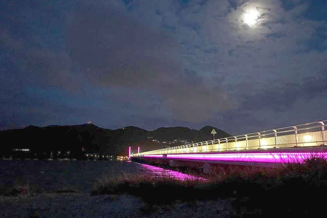Port completes major lighting  upgrade of Causeway Bridge