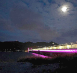Port completes major lighting  upgrade of Causeway Bridge