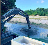 Stench from rotten meat forces closure  of restaurants, COCI removes container