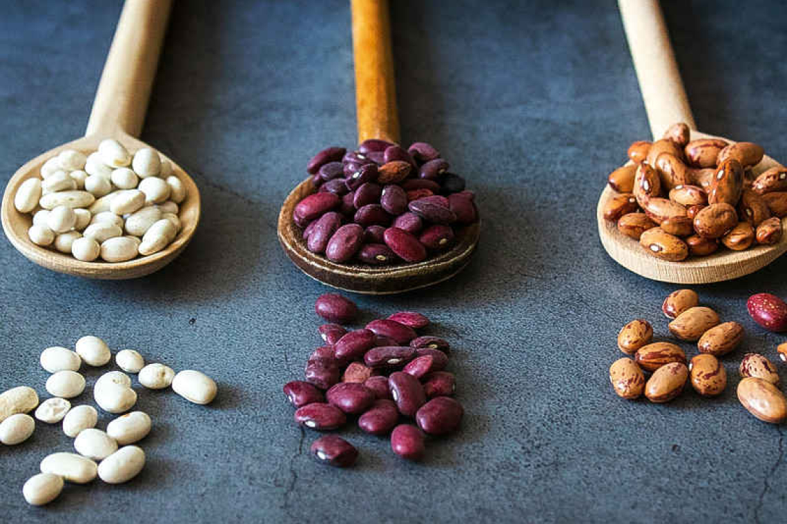 Humble beans – a valuable food!