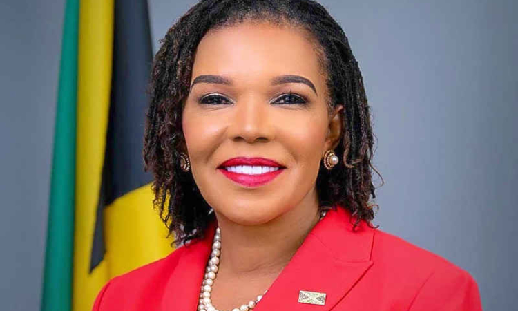 Ambassador Marks clarifies scope  of U.S.-Jamaica TCN agreement