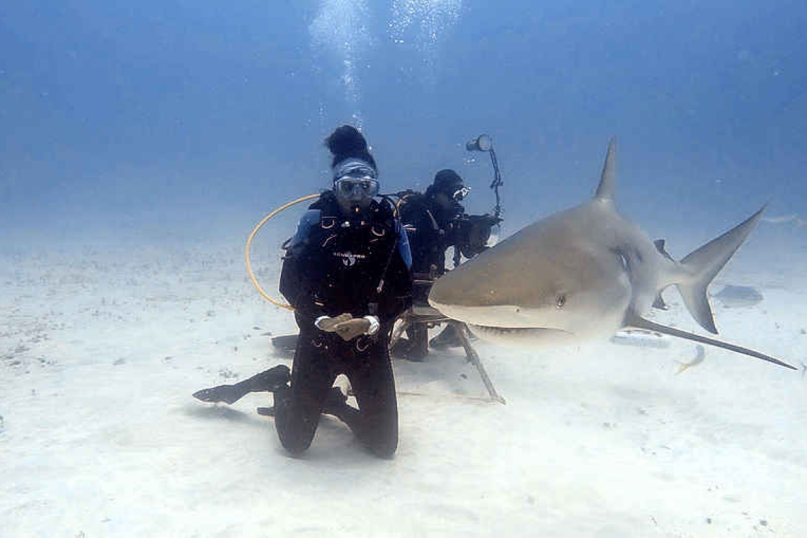 St. Maarten waters recognised as important  shark, ray area under global IUCN standard