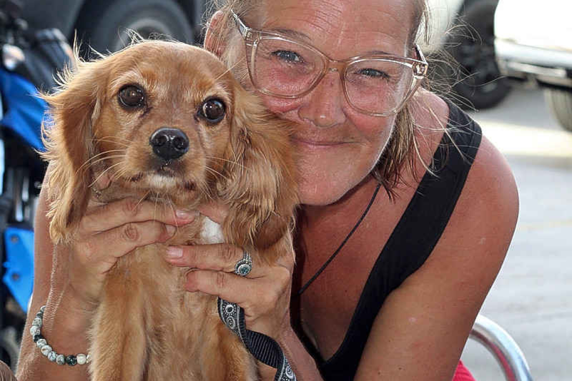 Animal Defenders SXM to host Summer Fundraising Bingo Night