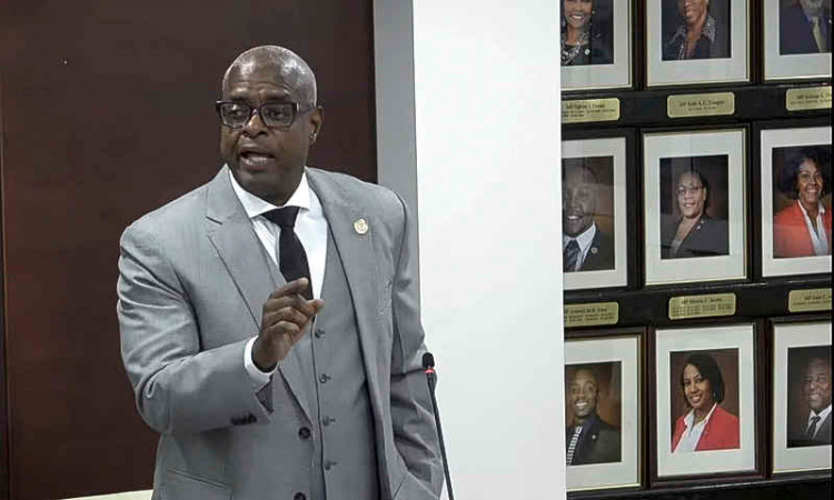 MP Meyers: “I have never”  sought to keep Theo in jail