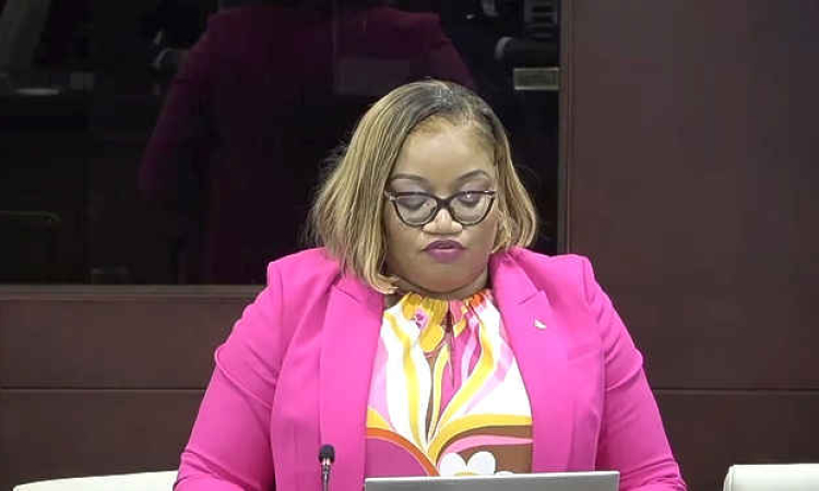 Gumbs: Passing budget is not  the achievement, delivery is