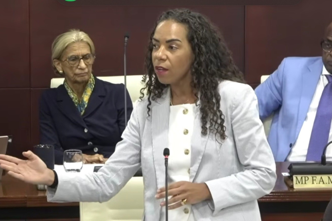 MP de Weever rejects speculation of rift  after vote against VROMI Minster, budget