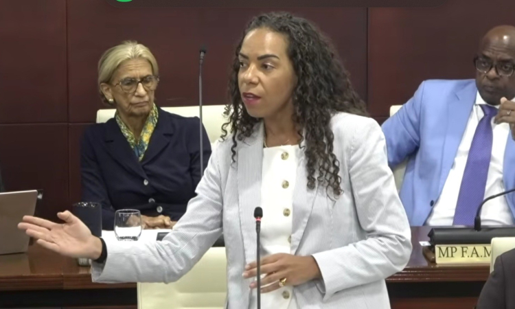 MP de Weever rejects speculation of rift  after vote against VROMI Minster, budget
